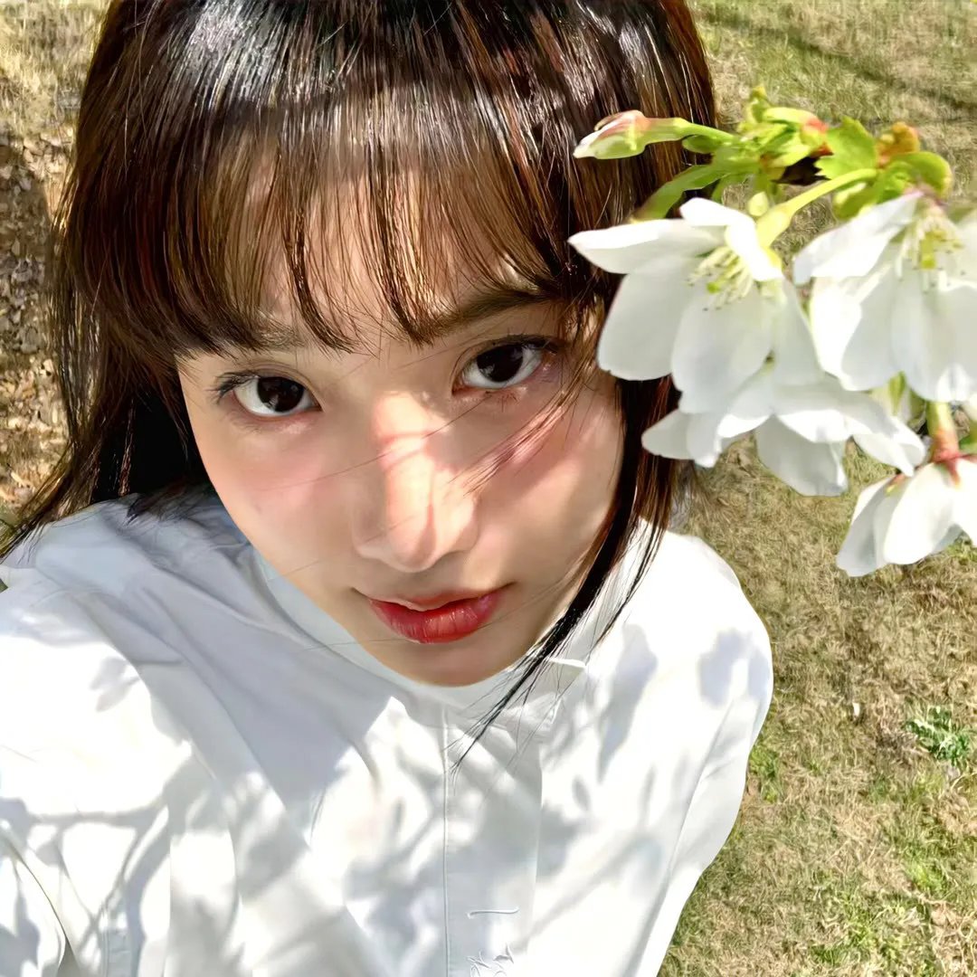 香车艳尸